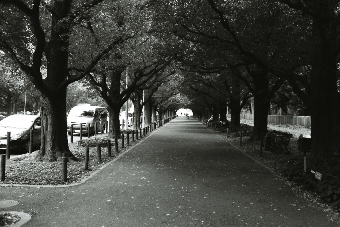 e0191232_22115634.jpg