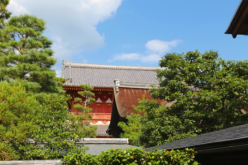 京都・滋賀巡り三日目大徳寺　高桐院～龍源院（１）_f0229832_10383379.jpg