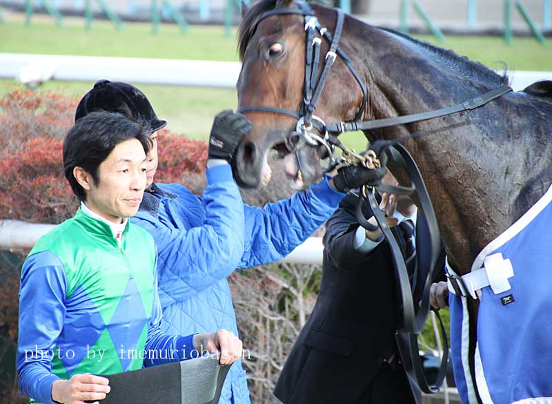 トーセンスターダム順調に２勝目。_a0009035_1215098.jpg