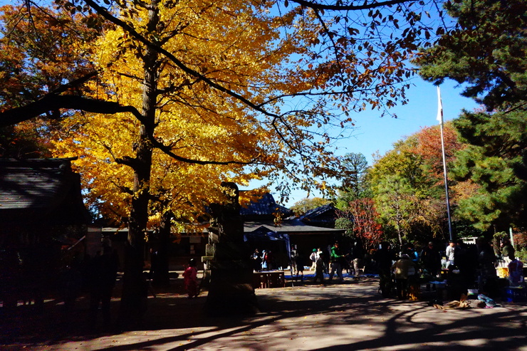 石神井公園からぶらぶら その3～石神井公園と石神井氷川神社 新嘗祭_a0287336_18184011.jpg