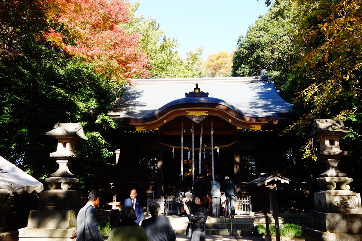 石神井公園からぶらぶら その3～石神井公園と石神井氷川神社 新嘗祭_a0287336_1823218.jpg