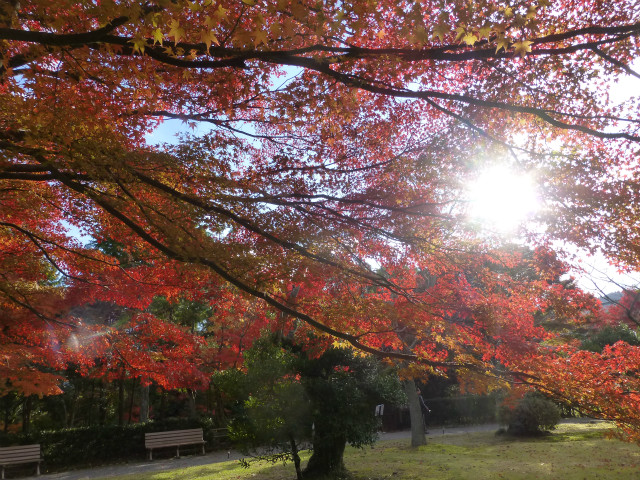 ご夫婦との明治村紅葉散策２_b0286737_22581460.jpg