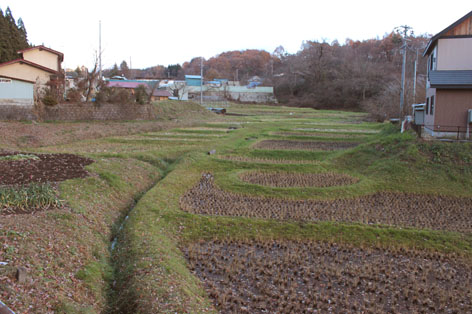 f0147037_22552891.jpg