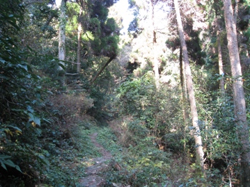 c0077338_19331034.jpg