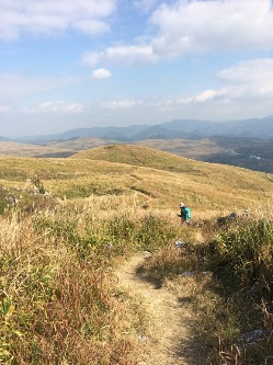 花は上向きに咲くリンドウ　秋吉台龍護峰_e0110940_191887.jpg