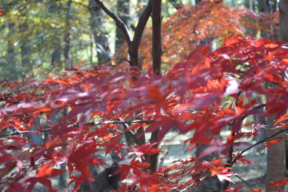 a0114842_20332579.jpg