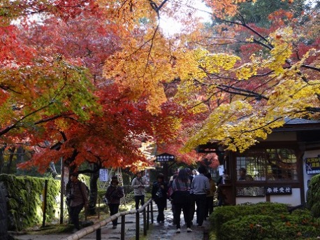 湖東三山・金剛輪寺_b0299042_2024457.jpg