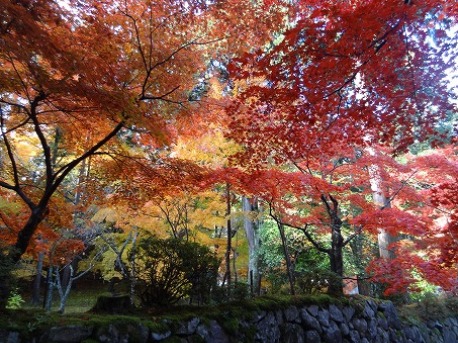 湖東三山・金剛輪寺_b0299042_2042972.jpg