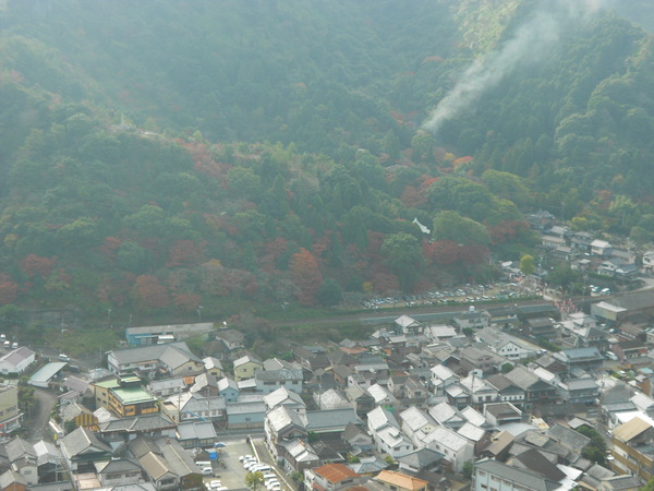 a0206345_847367.jpg
