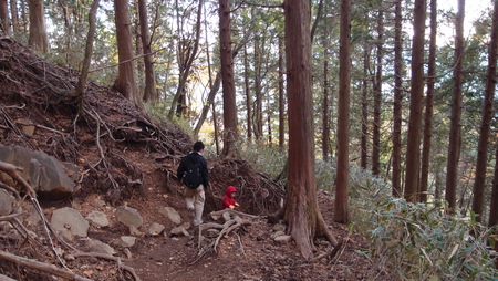 金時山登山＆箱根温泉♪　【後編】_b0010045_9181777.jpg