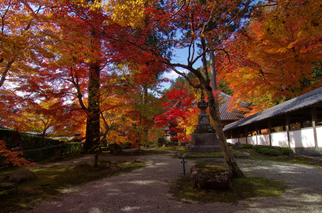 赤く色づいて：永源寺（後）　滋賀_d0186245_10211953.jpg