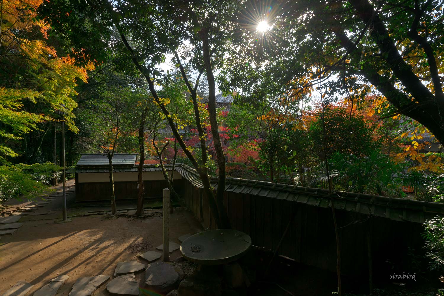 ✔ 紅葉は泰勝寺跡にも（熊本市・立田自然公園）_d0238245_111557.jpg