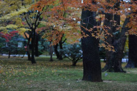 c0093046_85179.jpg