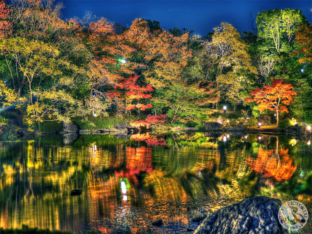 白鳥庭園　紅葉ライトアップ_b0135347_022293.jpg