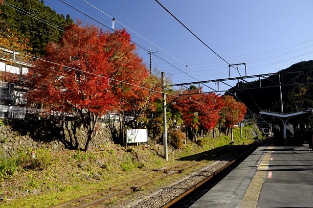 b0122448_18131411.jpg