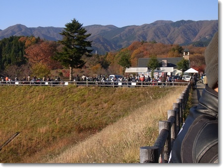 c0147448_15562051.jpg