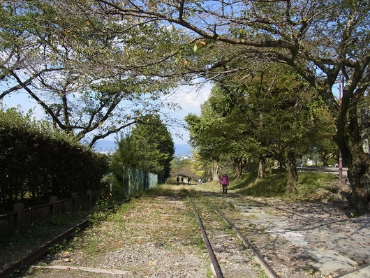 d0088348_1805632.jpg