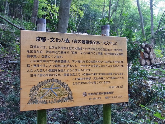 d0088348_1814358.jpg