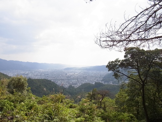d0088348_1891673.jpg