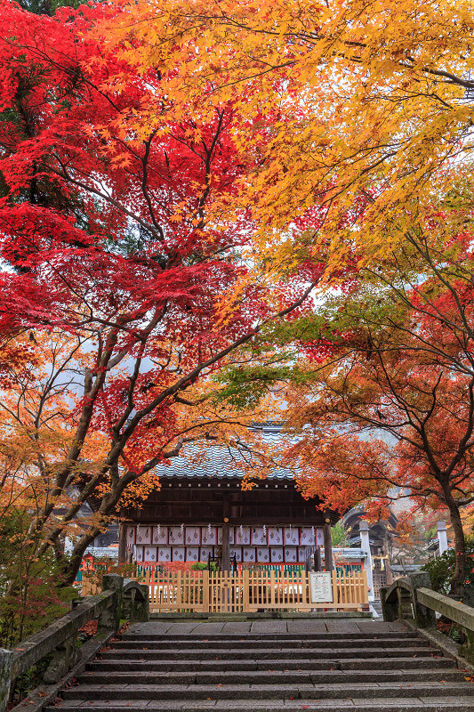 色鮮やか！鍬山神社_f0155048_23334429.jpg