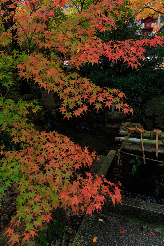 色鮮やか！鍬山神社_f0155048_23395248.jpg