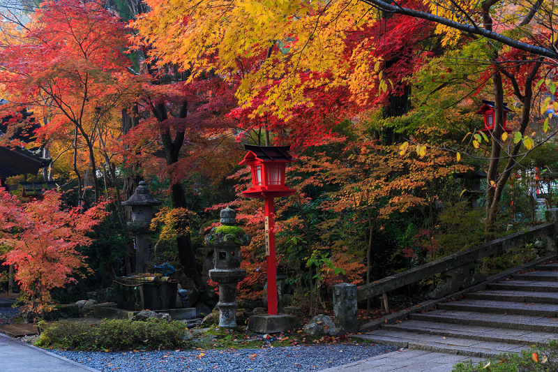 色鮮やか！鍬山神社_f0155048_2342711.jpg