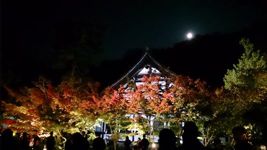 秋の夜長：京都散策_a0148349_0543615.jpg