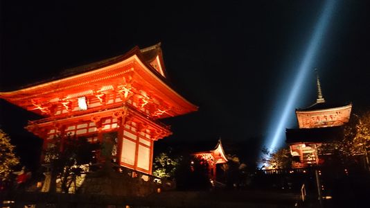 秋の夜長：京都散策_a0148349_055265.jpg