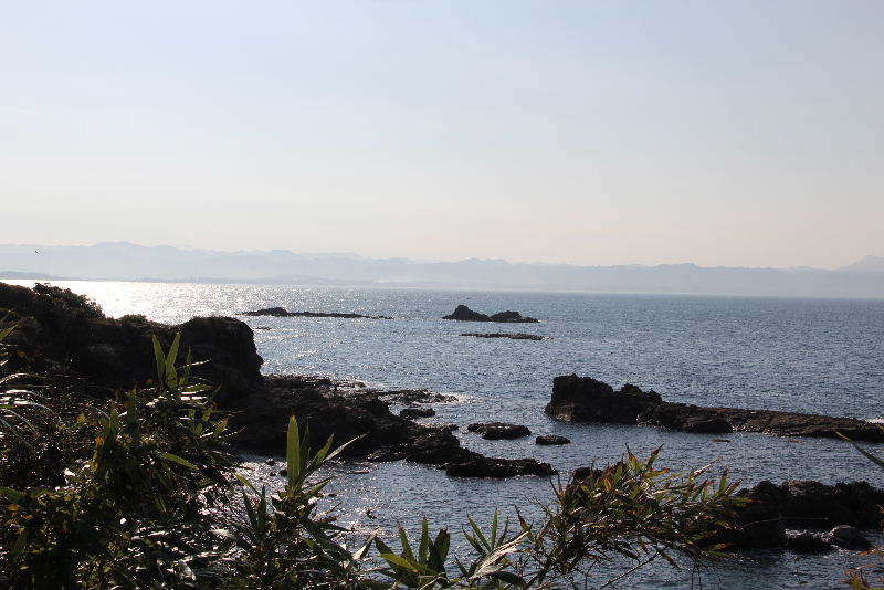 c0011649_82929.jpg
