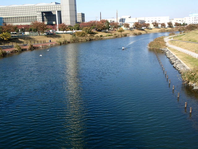 d0063149_22335664.jpg