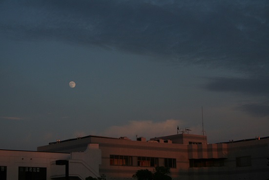 e0126350_14103130.jpg