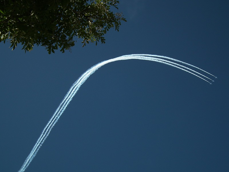 a0018655_21241723.jpg