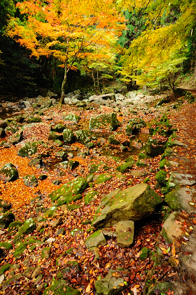 b0283455_10322840.jpg