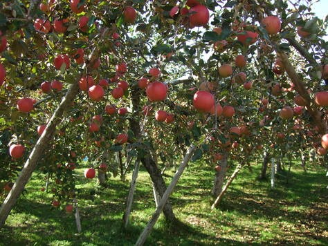 c0111557_21183359.jpg