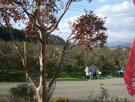 c0111557_21345670.jpg