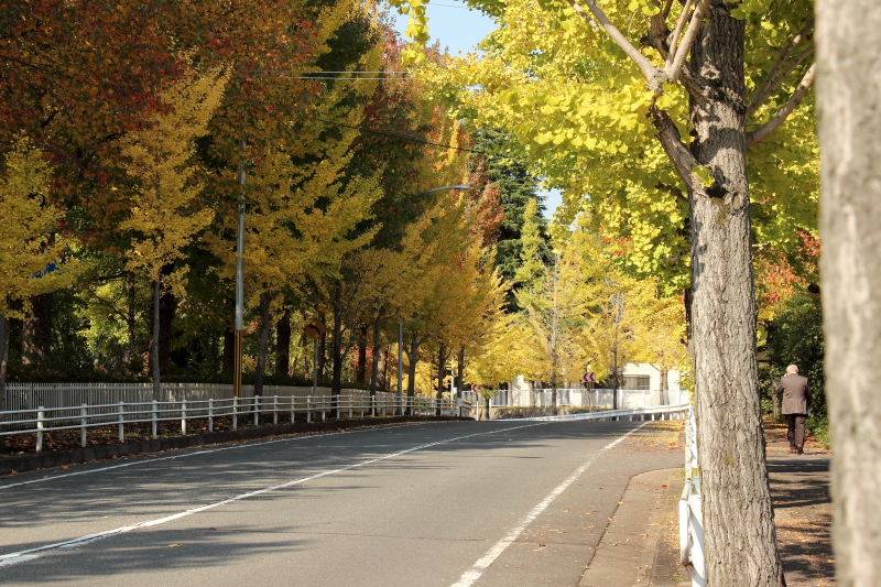 c0272958_23481448.jpg