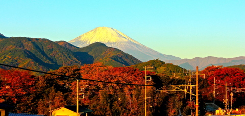 a0248459_19465524.jpg