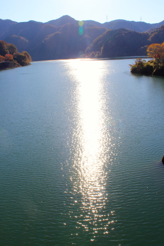 a0248459_20000231.jpg
