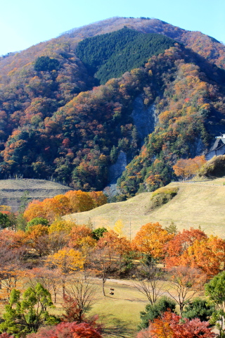 a0248459_20050489.jpg