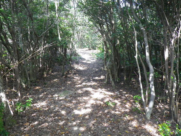 b0228959_22243763.jpg