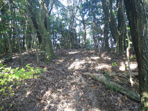 b0228959_22315921.jpg