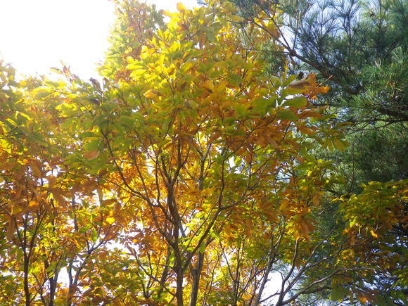 b0228959_2324693.jpg