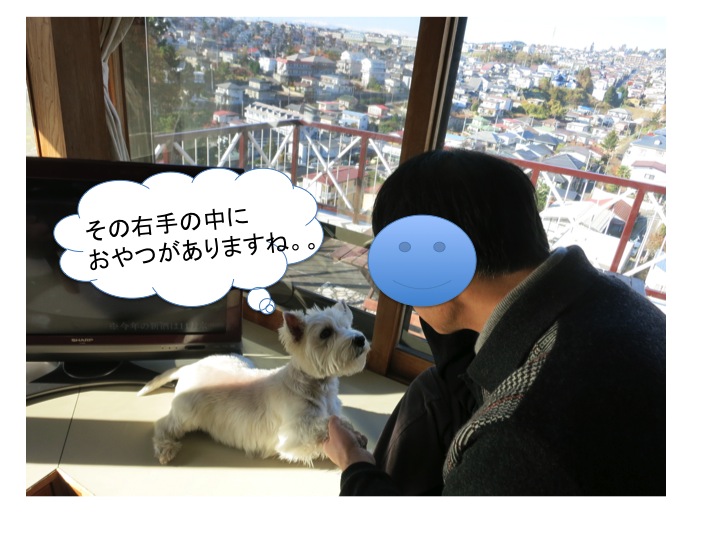 お父さんの偽装工作_c0260460_15304660.jpg