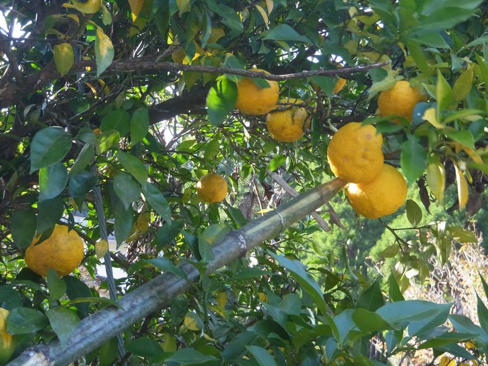 d0227362_21344025.jpg