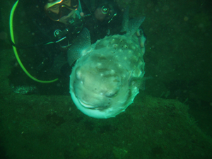 f0164662_16171594.jpg