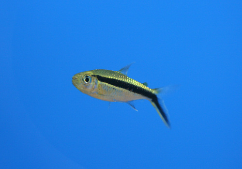 a0162263_14283461.jpg