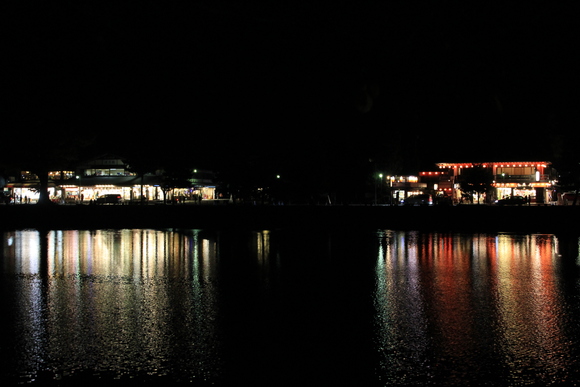 京都 嵐山 宝厳院 ライトアップ_d0202264_19431933.jpg