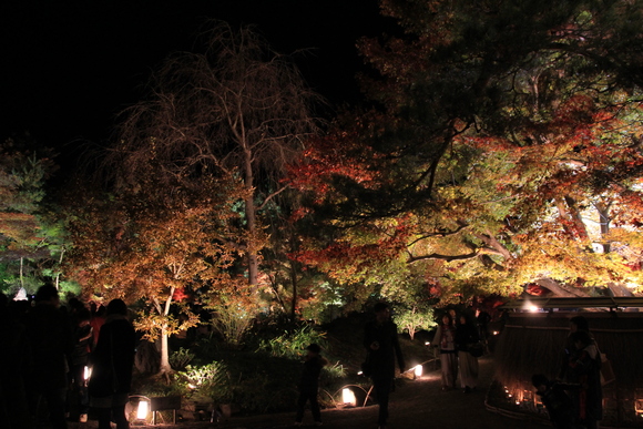 京都　嵐山　宝厳院　ライトアップ_d0202264_1944058.jpg