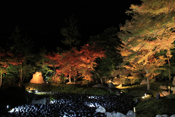 京都　嵐山　宝厳院　ライトアップ_d0202264_1946505.jpg
