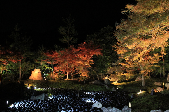 京都 嵐山 宝厳院 ライトアップ_d0202264_1946505.jpg